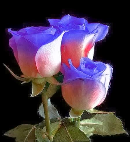 PRAMOOK CHAKRABHOL (@chakrabhol) on Twitter photo 