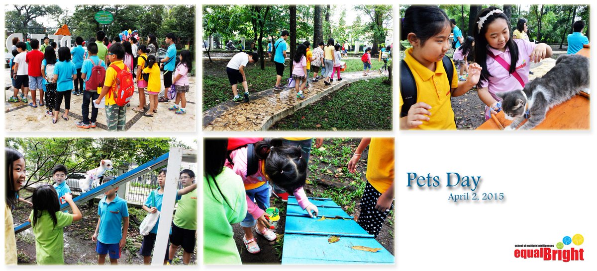 EqualBrightBdg's tweet photo. Pets Day! http://t.co/svMfjccAMZ