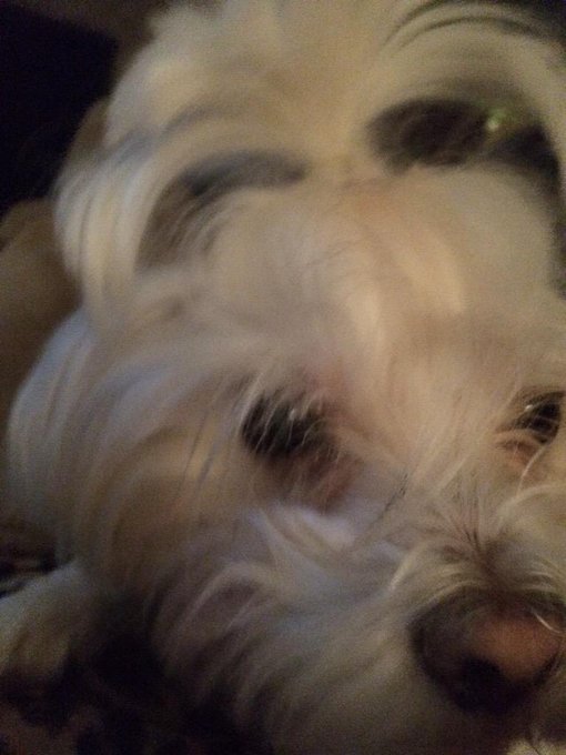 When bae is sleeping and I move!!! http://t.co/frJMi0fZmP<a href="/tag/leelahalcorn"class="tags"><span>#leelahalcorn</span></a>