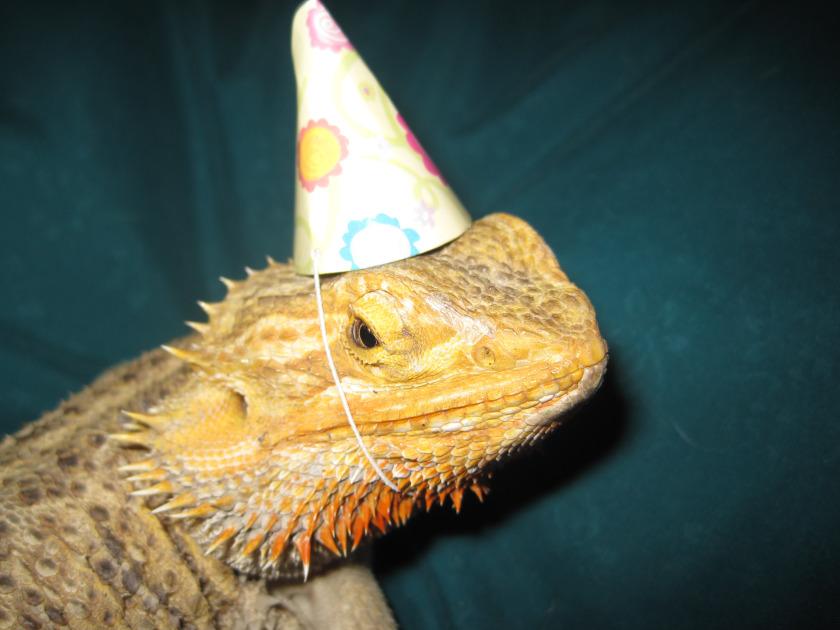  Happy birthday! (You share it with David Icke, apparently.) 