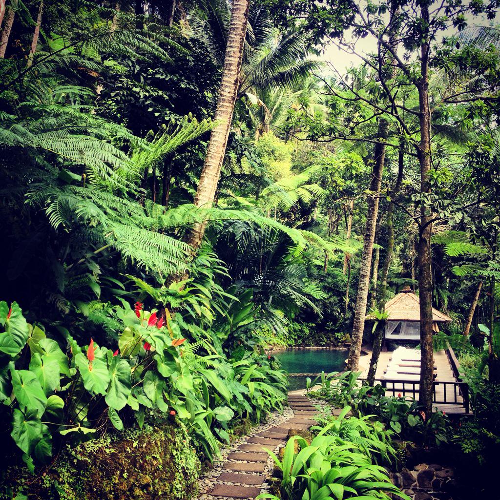 RdeCasabianca's tweet photo. Petite journée de remise en forme dans un cadre idyllique. #bali #EchappeesBelles #comoshambala http://t.co/WEaLnsP2Tp