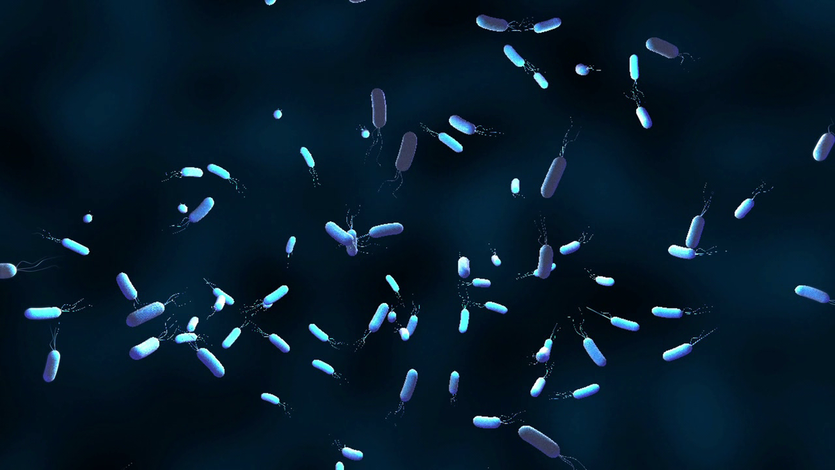 afpfr's tweet photo. La résistance aux antibiotiques expliquée en 1'52 par @AFPgraphics http://t.co/ix4PVu7Mr8 #AFP http://t.co/18ZXA9st6G
