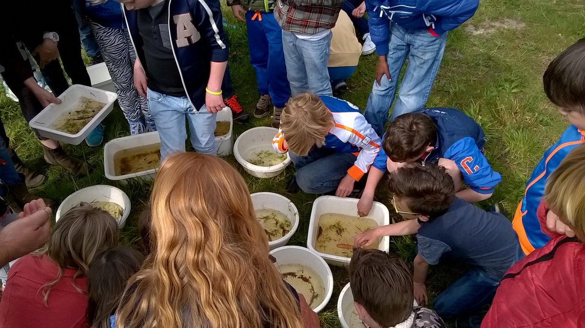 Kinderen van De Toermalijn hadden geweldige ervaringen met het onderwaterleven! <a href="/wvow2015/">week van ons water</a> bit.ly/1J82m4O