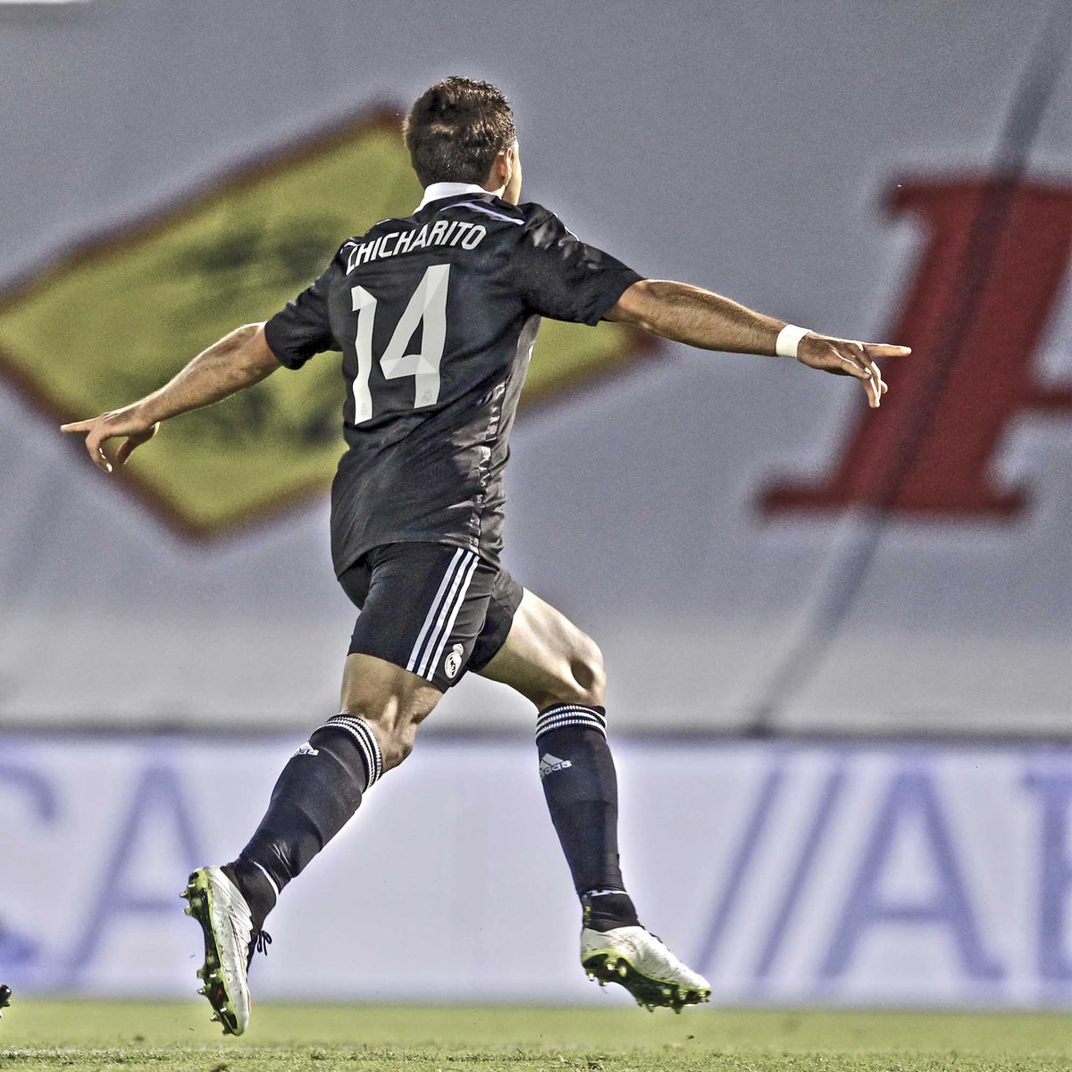 realmadrid's tweet photo. ¿SABÍAS QUE? ¡@CH14_ (Chicharito) promedia un gol cada 83 minutos en Liga! ¡GRANDE! #HalaMadrid http://t.co/tYLFtgnoYq