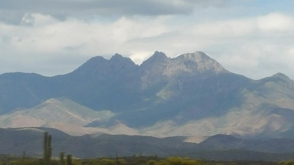 The Desert Belle Tour was so relaxing and Beautiful #TempeFAM2015