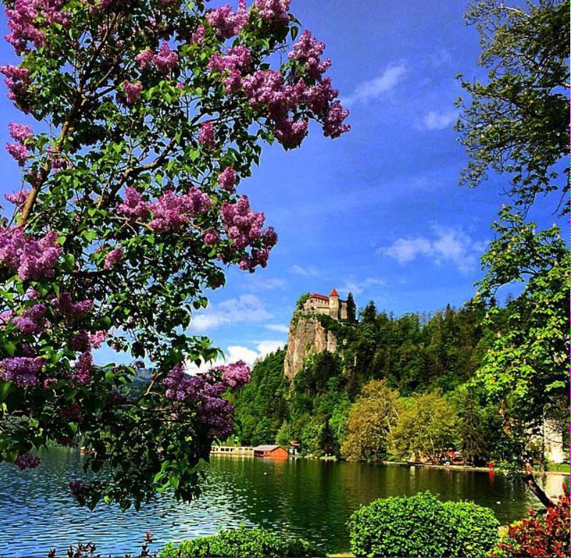 msdzenita's tweet photo. i miss mornings like this #love #juni2014 #ifeelsLOVEnia #homesweethome @bledcastle @BledSlovenia by @SloveniaInfo http://t.co/k6evaUaRDH