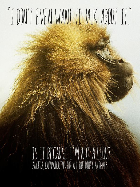 angelaarnaout1's tweet photo. @IAAUAE Angela, campaigning for all the other animals #myanimalfriends #ImNotALion #CharlestheBaboon http://t.co/YS9rA9CZM9