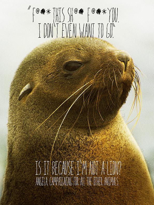angelaarnaout1's tweet photo. @IAAUAE Angela, campaigning for all the other animals #myanimalfriends #ImNotALion #NicholastheSeal http://t.co/aF4guNT4Gd