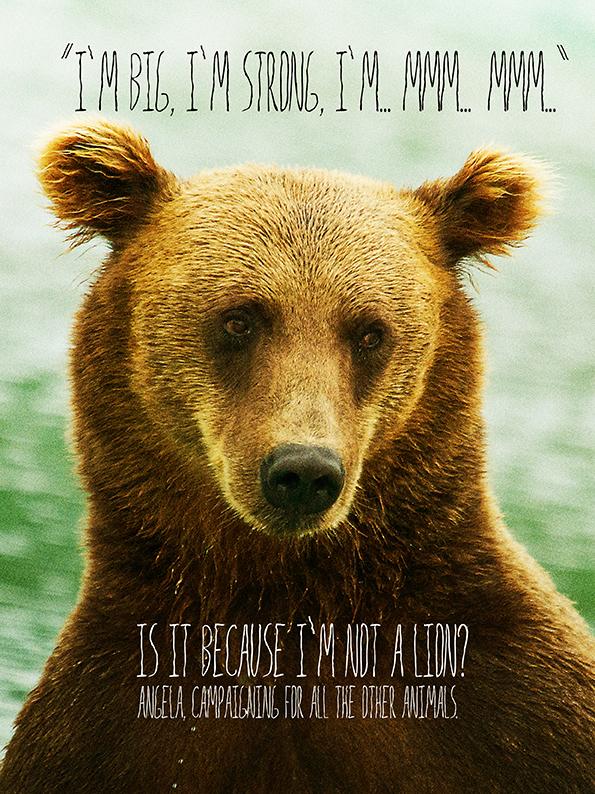 angelaarnaout1's tweet photo. @IAAUAE Angela, campaigning for all the other animals #myanimalfriends #ImNotALion #AstolphtheBear http://t.co/Z0ntYiIUU3