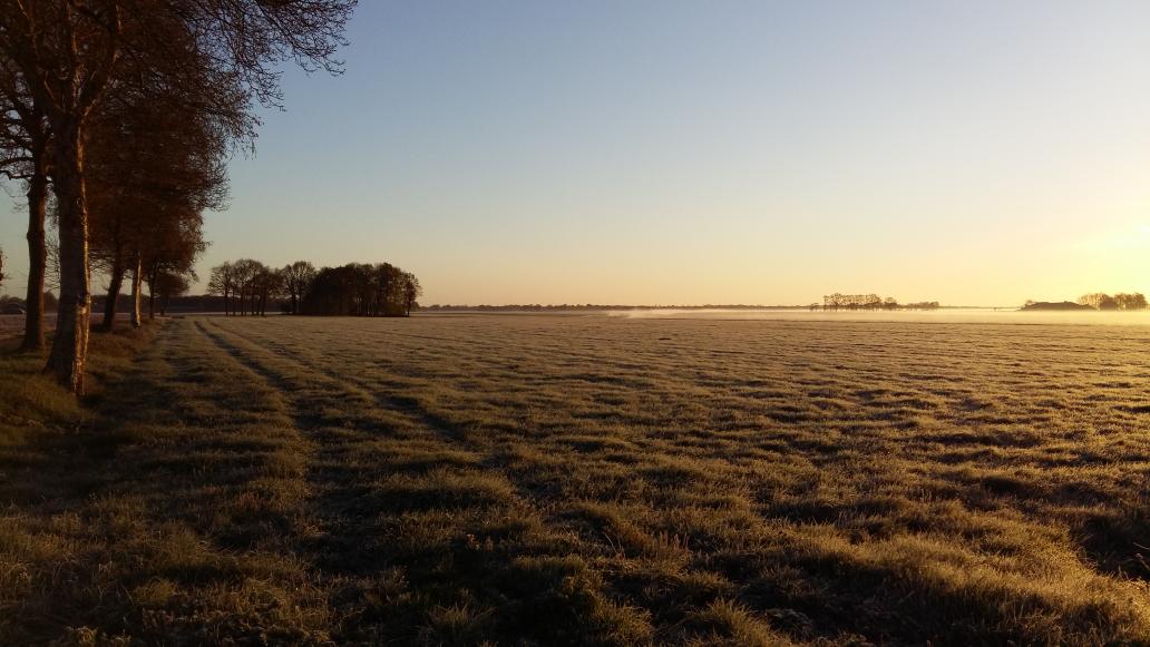 GAvdW's tweet photo. Zomaar een ochtend nabij Oosterwolde http://t.co/AmBCN8un8z