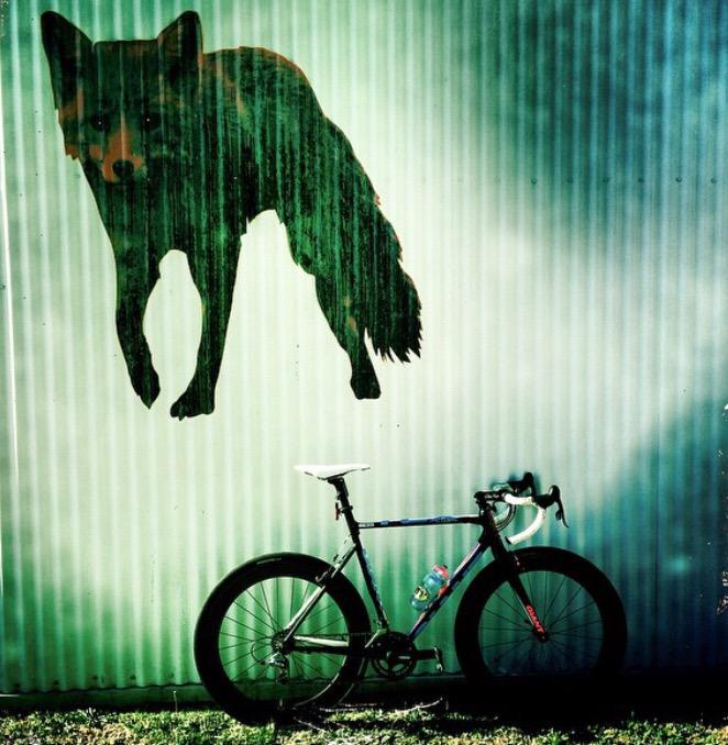 StayTrue_Racing's tweet photo. We rollin... Xoxo @giantbikesaus #RideGiant http://t.co/y5EACiNcaw