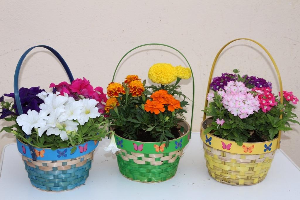 InvernaderosRam's tweet photo. Algunos modelos de cestas para regalar el #DiaDeLaMadre http://t.co/6HpxjAUjaG