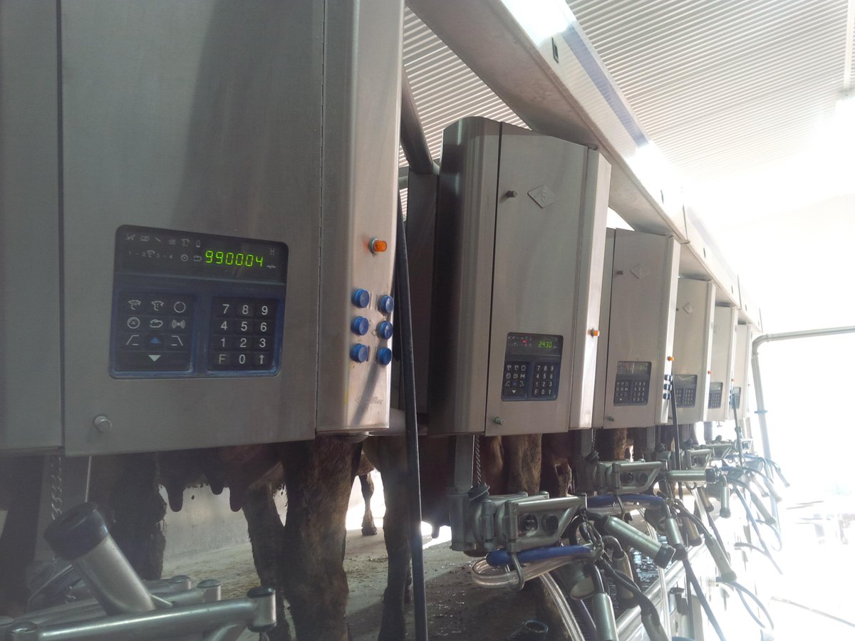 JDfarmers's tweet photo. @SFalkena @DeLavalCanada here is a few photos. Yes very similar to Germania. Still available on #HdHb parlor #delaval http://t.co/kWPAICiXC0