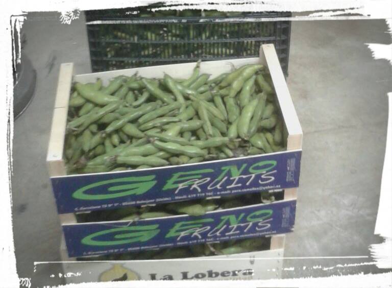 Estamos preparando la cruz de mayo en los jardines de Santa Marta, ¿nos ayudas? m.facebook.com/sacramentaldel…