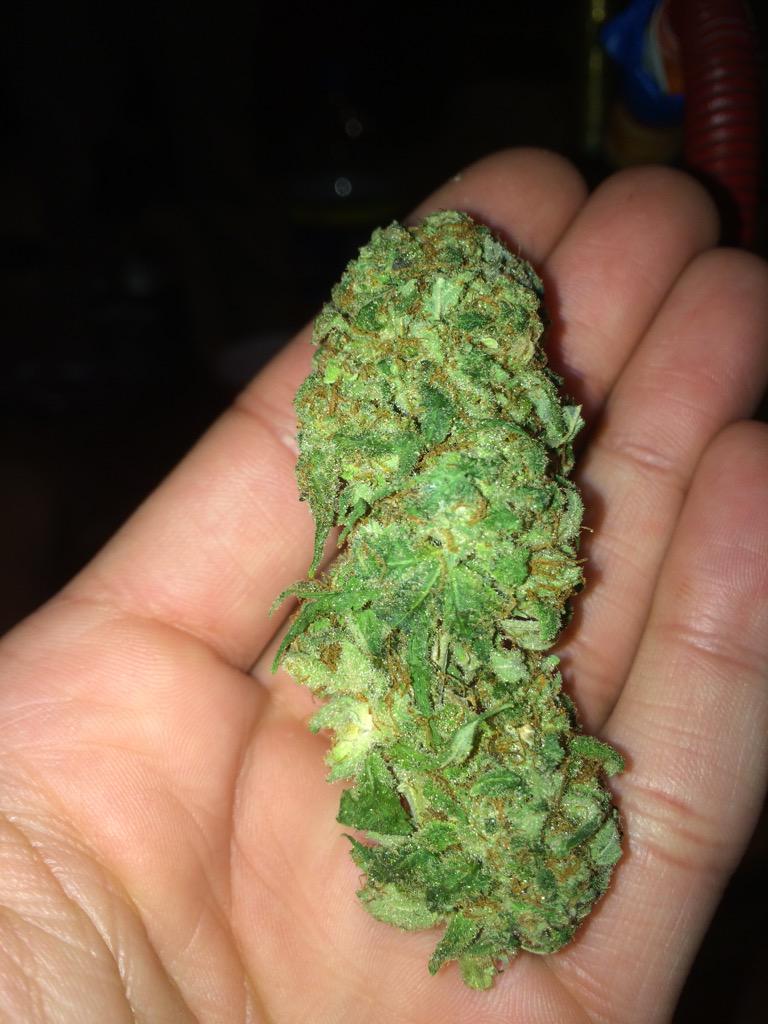 products420's tweet photo. http://t.co/SR0ejO0gJF