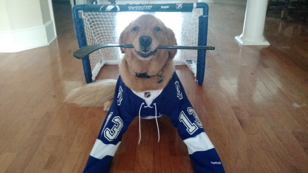 PaulFox13's tweet photo. Getting loose for Game 7. @TBLightning #GoBolts http://t.co/Whc1Xqe80n