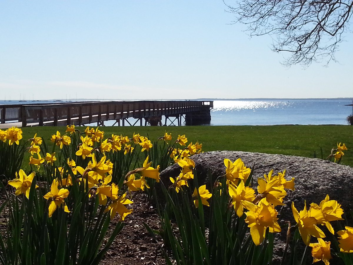 OrientaBeach's tweet photo. Spring at OBC! http://t.co/vOJ0dcpIZN