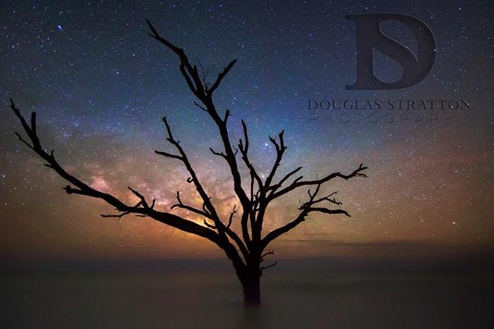 DStrattonPhoto's tweet image. I captured this massive ghost of a Live Oak tree with the Milkyway back lighting the tree a couple nights ago!