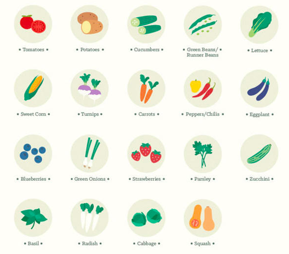 mental_floss's tweet photo. An Extensive Guide to Growing Vegetables — http://t.co/YfuM3HVkB8 http://t.co/udJHkcPNxn