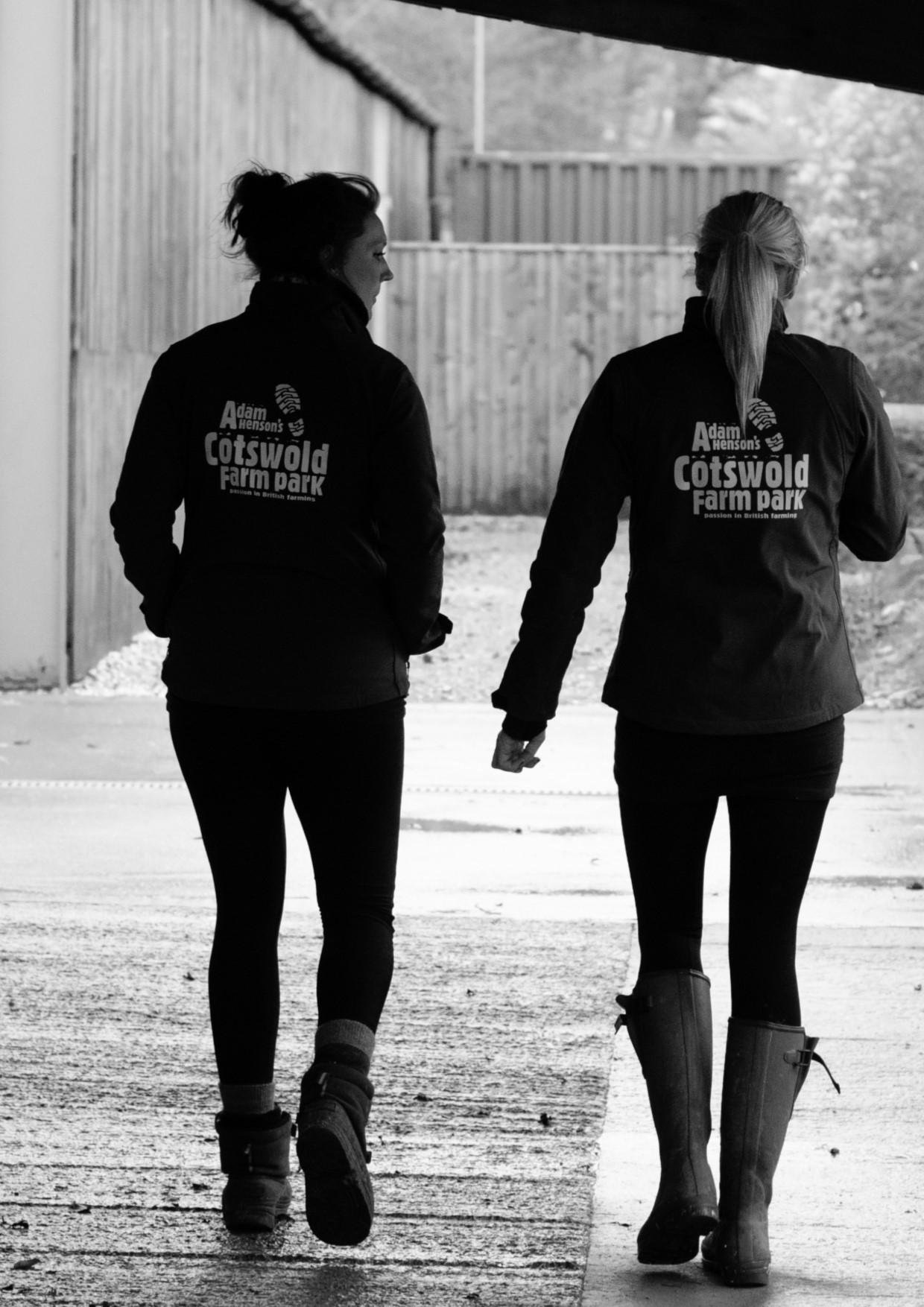 Cotswold Farm Park (CotswoldFarmPrk) Twitter