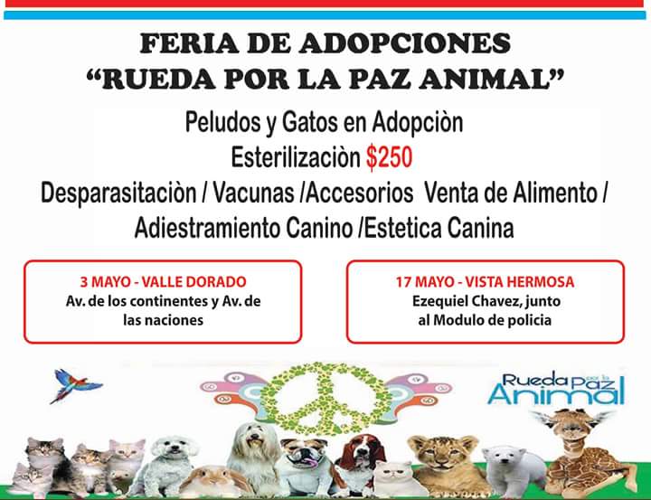 guaadopciones's tweet photo. http://t.co/C5p9oAL71u