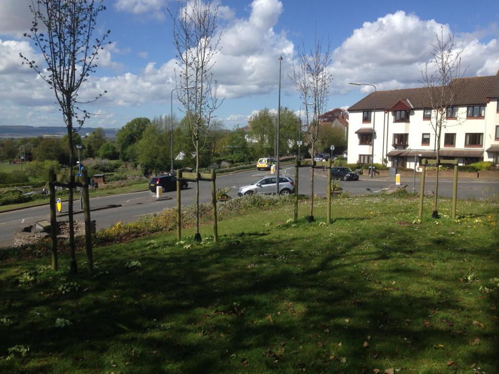 Official opening ceremony of the Ring of Thorns this Sat at 10.30. Dancing round a maypole!  Please come along to see