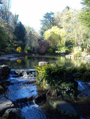 Beautiful day for a walk in Peasholm Park.