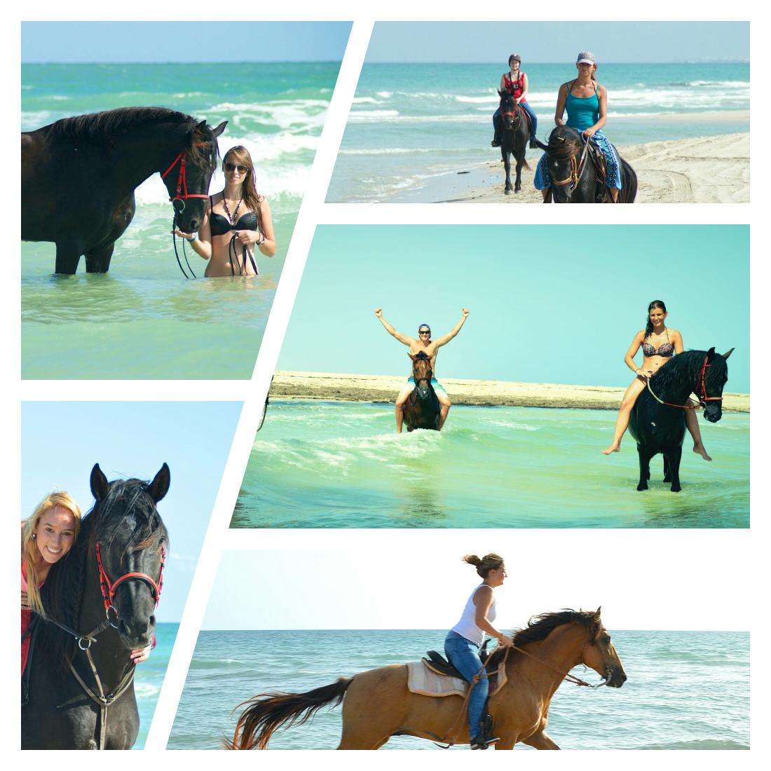 Djerba Guest Ranch tweet media