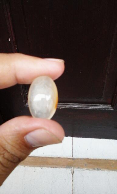 Monterie16's tweet photo. Pandan Sutra http://t.co/05ubmMK3HC