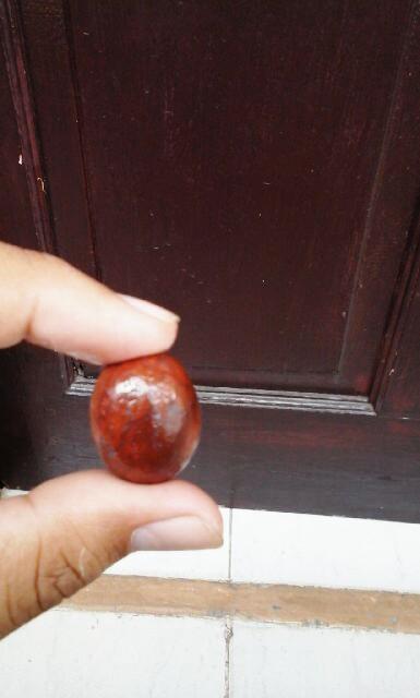 Monterie16's tweet photo. Naga Sweet Sumbawa http://t.co/f0dnAwLlLq