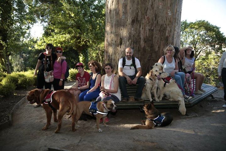 SolleFaltaFalar's tweet photo. Traballando no taller de perder o medo aos cans cos nosos amigos de @Aspanaes http://t.co/XXgXpDPFu9