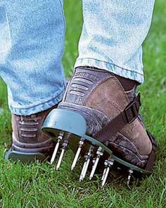 Overseed your lawn through shoes.mytopcut.com