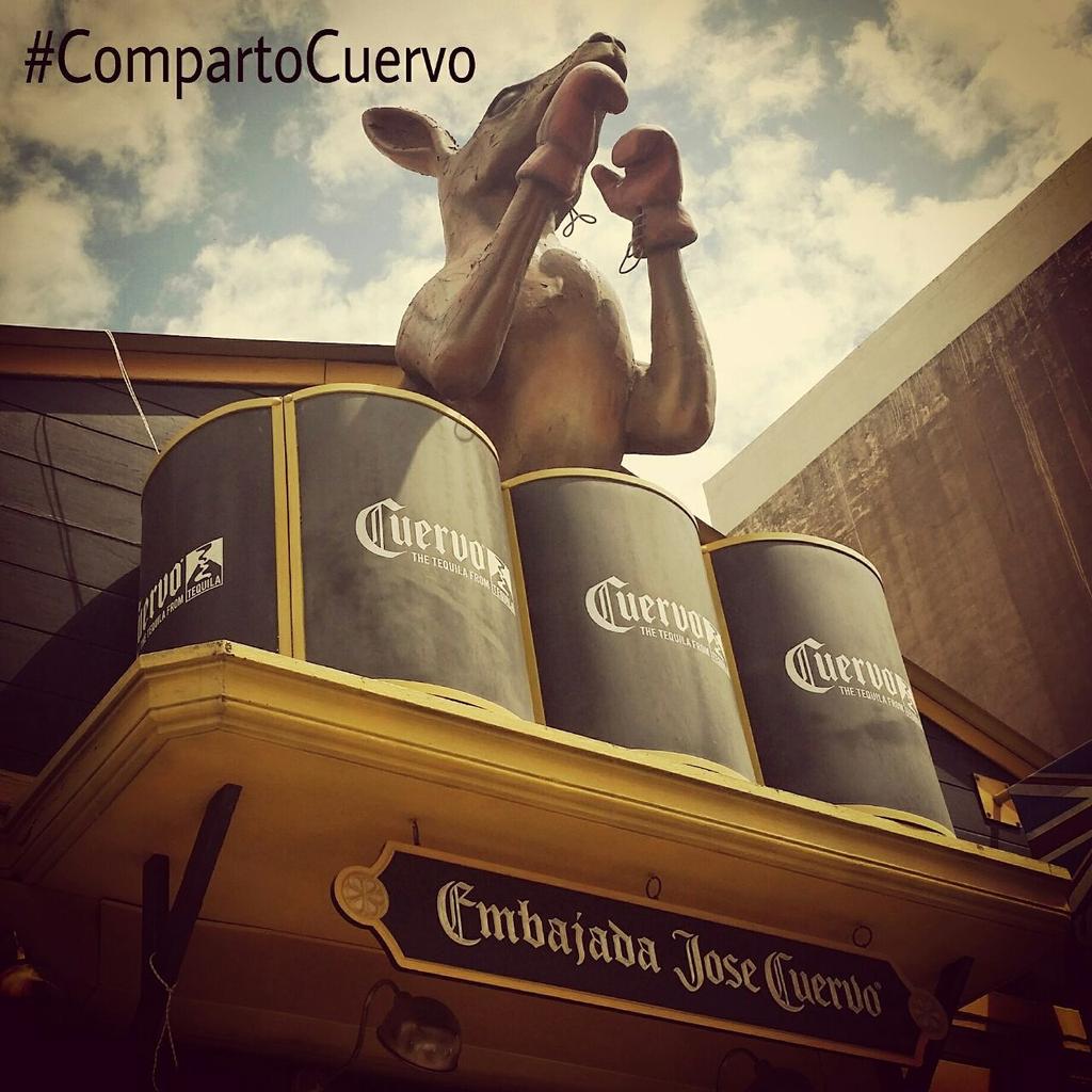 patxoncin's tweet photo. A disfrutar del día y esta noche #fiesta #tequila #JoseCuervo en #Wallabys para terminar el miercoles #compartocuervo http://t.co/JZeWqFKYqf