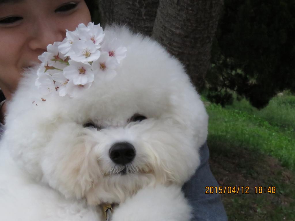 yangs65991 tweet picture