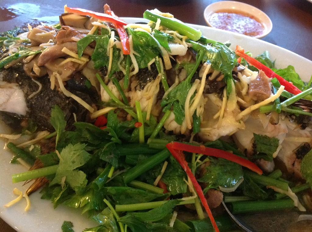ThaiDinner's tweet photo. ปลาบู่นึ่งซีอิ๊ว Sand Goby Fish steamed with Soya Sauce. Very light delicate fish in Chiang Rai. http://t.co/e5dyNUfKwn