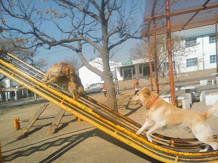 candecba's tweet photo. @centromediatv. #FelizDiaDelAnimal http://t.co/WdjyL9T0aN