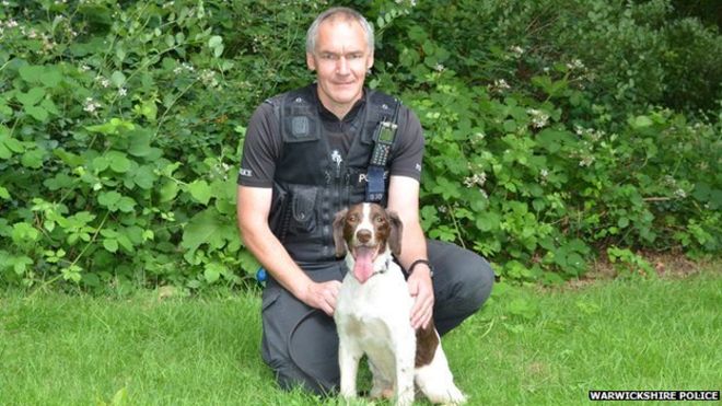 ChilternDogs's tweet image. Police dog given posthumous PDSA award bbc.co.uk/news/uk-englan…