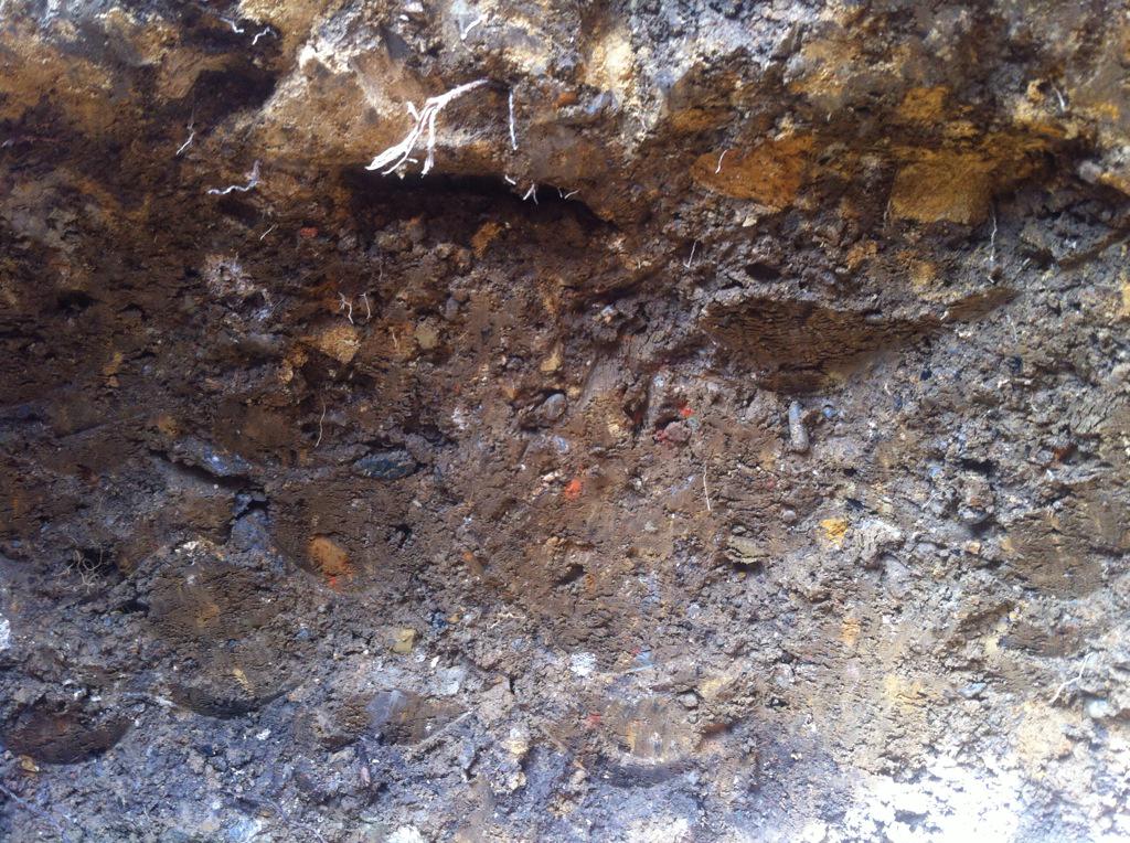 Genovese soil is smelling good. Dry, stoney and a bit clay-ish. Many small pieces of old pottery.