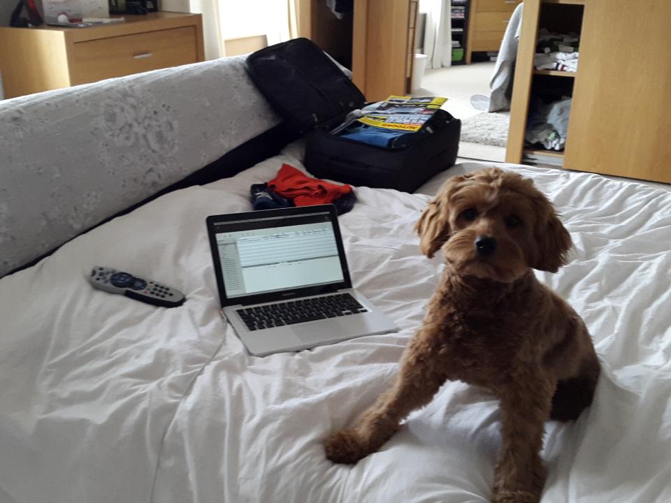 phil_brierley's tweet photo. @DW86 @verityrtaylor @lucy_kevan packing with buddy http://t.co/vOhqIevikg