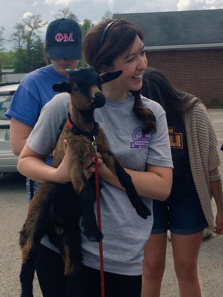Rangerthegoat's tweet photo. When you're with your side chick and see your main goat drive by #thesegoatsaintloyal #goatlife http://t.co/6suw5zsKxG
