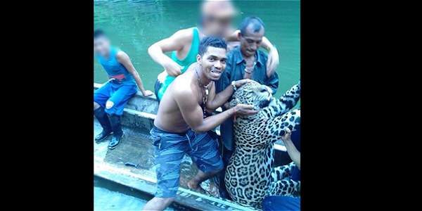 ELTIEMPO's tweet photo. #Indignante Piden investigar fotos de cacería de un jaguar http://t.co/nVIfhtnyti http://t.co/leBIndXjjs