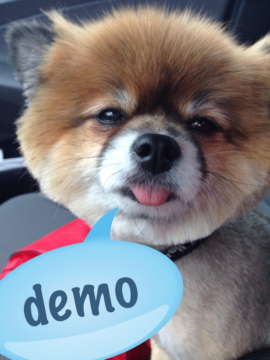 Word Wed w/ JoJo! See what SITEOPS can do for you with a free DEMO! Click here: siteops.com/contact/reques…