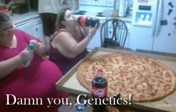Image result for fat and genetics