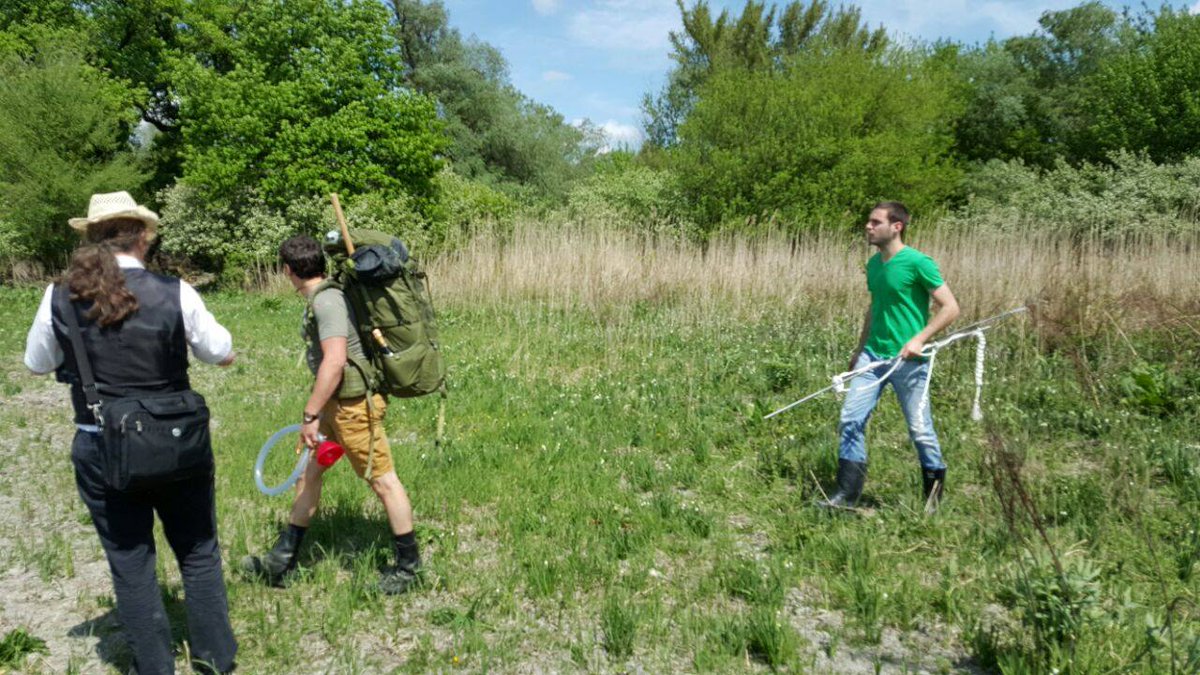 liberlandsuisse's tweet photo. Trekking inland in #liberland. The vegetation is quite impressive. http://t.co/aWqijo7HN0