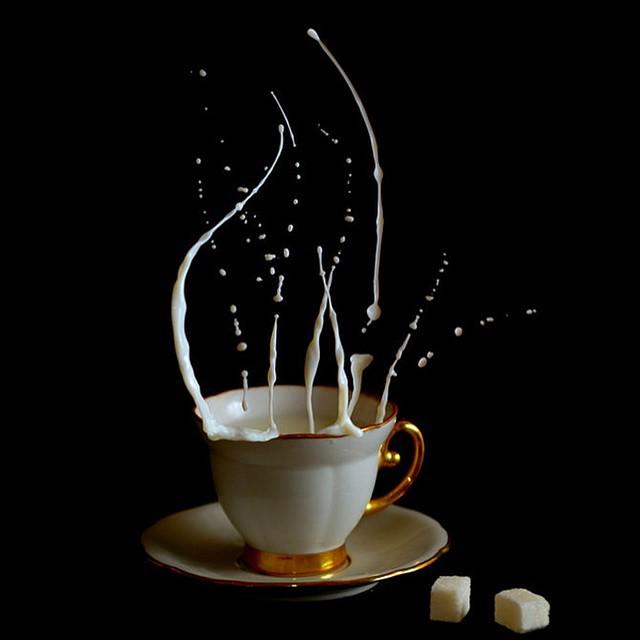 InstaAlushta's tweet image. #доброговечера #толстыйдобрыйолень #кофеманы #кофессобой #алушта #велоскидка #велосипед #стармакс #крым #кофе #кака…