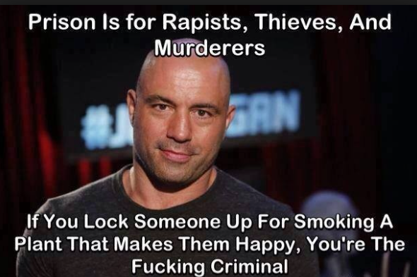 STONERS__CLOSET's tweet photo. It's yours to spread, share, and use. DO NOT let anyone ever tell you anything else. 

 http://t.co/nzzdWTyMMy http://t.co/r4SgURACgl