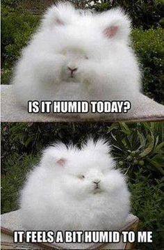 GeorgeTakei's tweet photo. This guy has little humility and a lot of humidity. http://t.co/lS5BMXYDF5