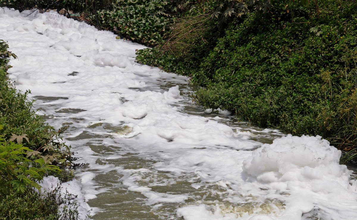 DeccanHerald's tweet photo. #DHPhoto | Untreated sewage water released into the lake. Filthy foam from Varthur lake raises health concern http://t.co/9dgWXqisHL