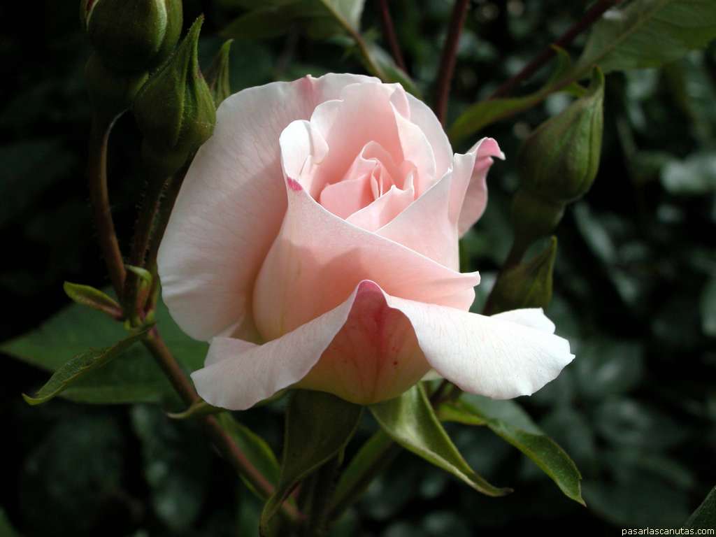 estevetnna's tweet photo. @montmon1 graciespubilleta http://t.co/3n9oK3drQG