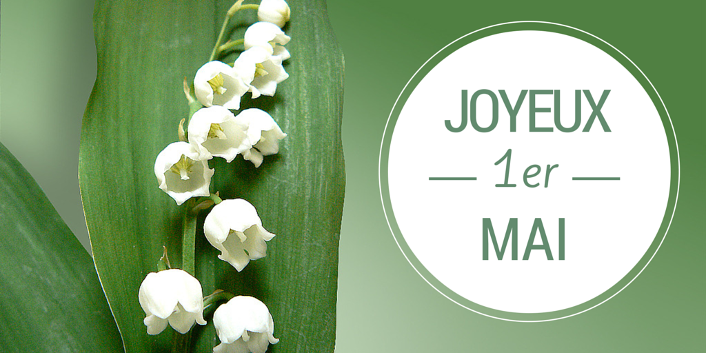 Francetele's tweet photo. C'est vendredi et c'est férié ! Bon week-end à tous ! :) http://t.co/SrSP0WN2UG